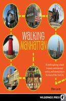 Walking Manhattan - Ellen Levitt Walking