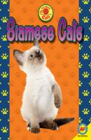 Siamese Cats - Nancy  Furstinger 