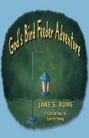 God's Bird Feeder Adventure - Jane Rome 