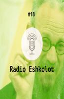 Медленное чтение / Slow Reading - Даниэль Боярин Radio Eshkolot