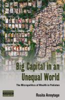 Big Capital in an Unequal World - Rosita Armytage Dislocations