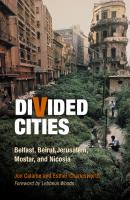 Divided Cities - Esther  Charlesworth The City in the Twenty-First Century