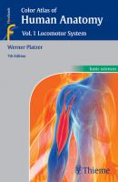 Color Atlas of Human Anatomy, Vol 1. Locomotor System - Werner Platzer 