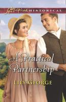 A Practical Partnership - Lily  George 