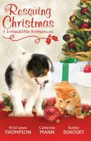 Rescuing Christmas: Holiday Haven / Home for Christmas / A Puppy for Will - Kathie DeNosky 