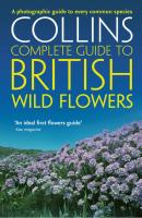British Wild Flowers: A photographic guide to every common species - Paul  Sterry 