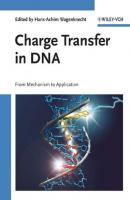 Charge Transfer in DNA - Hans-Achim  Wagenknecht 