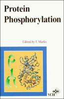 Protein Phosphorylation - Группа авторов 