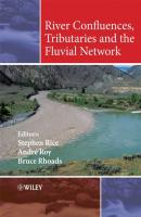 River Confluences, Tributaries and the Fluvial Network - Andre  Roy 