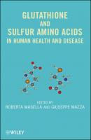 Glutathione and Sulfur Amino Acids in Human Health and Disease - Roberta  Masella 