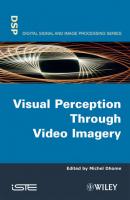 Visual Perception Through Video Imagery - Michel  Dhome 