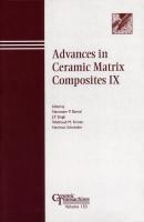 Advances in Ceramic Matrix Composites IX - Hartmut  Schneider 