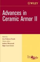 Advances in Ceramic Armor II - Edgar  Lara-Curzio 