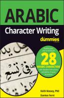Arabic Character Writing For Dummies - Keith  Massey 