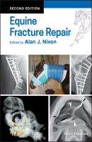 Equine Fracture Repair - Группа авторов 