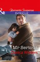 Mr Serious - Danica Winters Mills & Boon Intrigue
