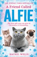 A Friend Called Alfie - Rachel  Wells Alfie series