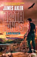 Labyrinth - James Axler Gold Eagle Deathlands