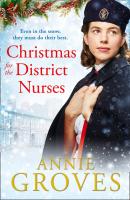 Christmas for the District Nurses - Annie Groves The District Nurse