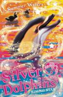 Rising Star - Summer Waters Silver Dolphins
