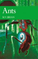 Ants - M. V. Brian Collins New Naturalist Library