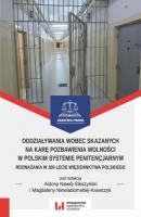 Oddziaływania wobec skazanych na karę pozbawienia wolności w polskim systemie penitencjarnym - Группа авторов 