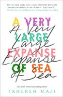 A Very Large Expanse of Sea - Tahereh Mafi 