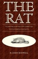The Rat; Its History & Destructive Character - James Rodwell 