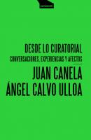 Desde lo curatorial - Ángel Calvo Ulloa Paper