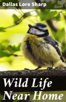 Wild Life Near Home - Dallas Lore Sharp 
