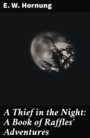 A Thief in the Night: A Book of Raffles' Adventures - E. W. Hornung 