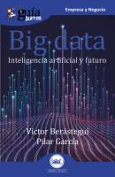 GuíaBurros Big data - Pilar García 