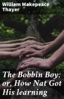 The Bobbin Boy; or, How Nat Got His learning - William Makepeace Thayer 