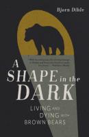 A Shape in the Dark - Bjorn Dihle 