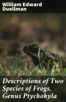 Descriptions of Two Species of Frogs, Genus Ptychohyla - William Edward Duellman 