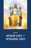 Познай себя – познаешь Бога. Цель жизни православного христианина – достижение духовного Афона - Рольбин 