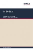 Im Bodetal - Siegfried Bethmann 