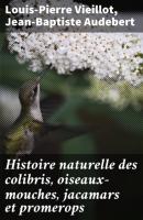 Histoire naturelle des colibris, oiseaux-mouches, jacamars et promerops - Louis-Pierre Vieillot 
