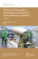 Derechos Ambientales y afectaciones en tiempos de crisis ambiental y pandemia, volumen I - Luis Fernando Sánchez Supelano 
