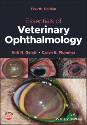 Essentials of Veterinary Ophthalmology - Kirk N. Gelatt 