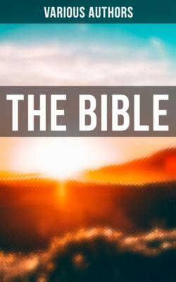 The Bible - Various Authors   