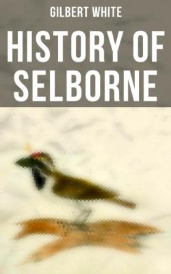 History of Selborne - Gilbert White 