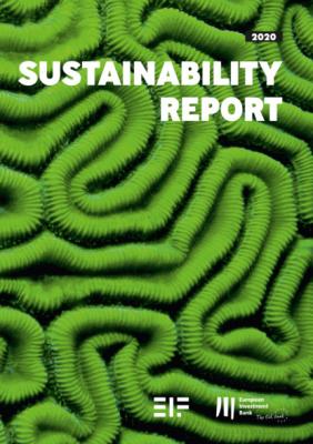 European Investment Bank Group Sustainability Report 2020 - Группа авторов 