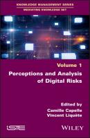 Perceptions and Analysis of Digital Risks - Группа авторов 