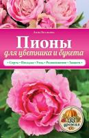 Пионы для цветника и букета - Анна Белякова 33 урожая
