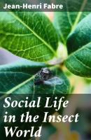 Social Life in the Insect World - Fabre Jean-Henri 