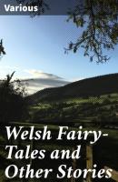 Welsh Fairy-Tales and Other Stories - Various 