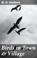 Birds in Town & Village - W. H. Hudson 