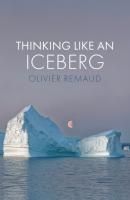 Thinking Like an Iceberg - Olivier Remaud 