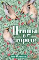 Птицы в городе - Наталья Габеева Оглянись вокруг
